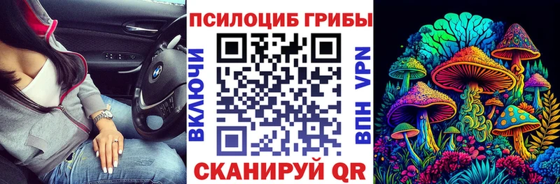 Купить  Кремёнки  Галлюциногенные грибы Magic Shrooms 